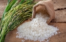 Giá lúa gạo hôm nay ngày 29/12: Nguồn cung thấp, giá lúa gạo neo ở mức cao