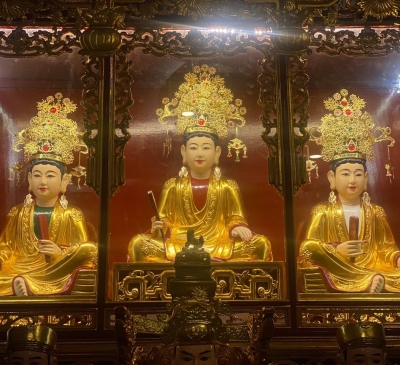 Mão Tượng Tứ Phủ 4